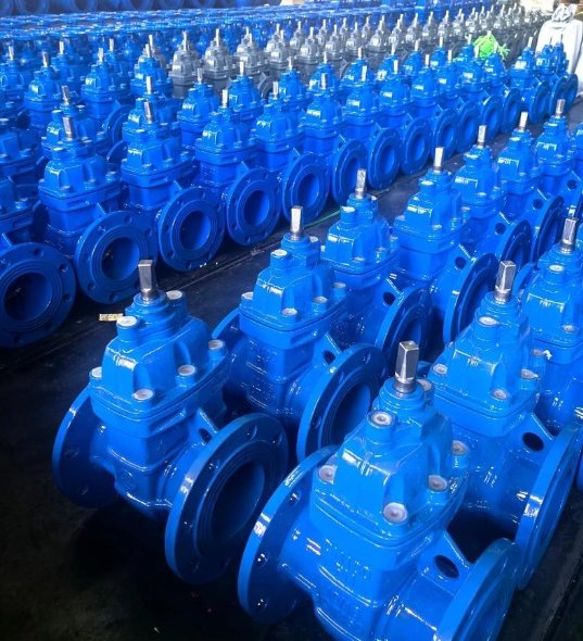 gate valve