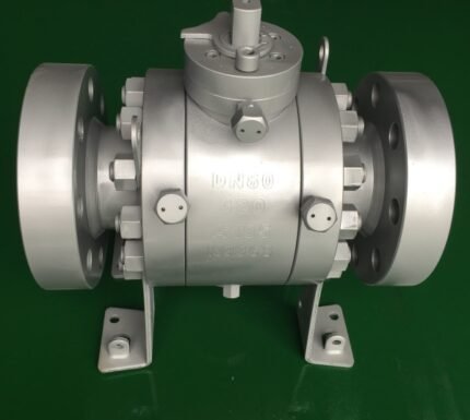 Fixed ball Valve 1