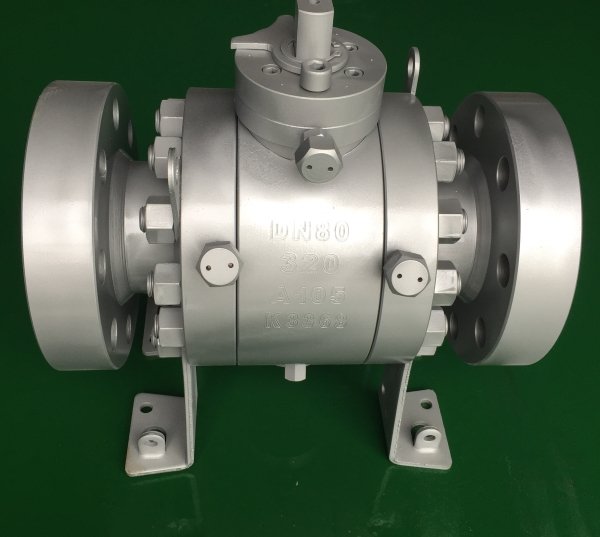 Fixed ball Valve 1