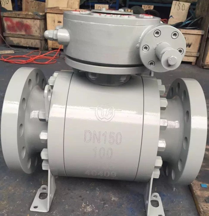 Fixed ball valve